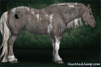 Horse Color:ERROR: UNKNOWN ANOMALY and Silver Black Tobiano Rabicano