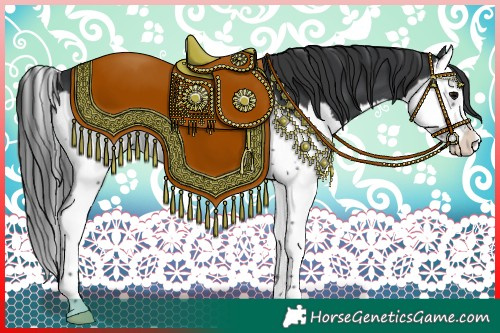 Horse Color:Black Splash