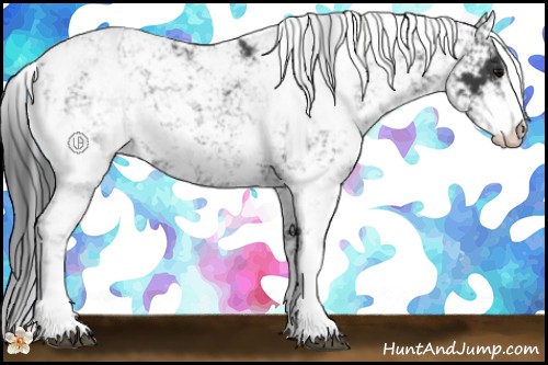 Horse Color:Black Sabino