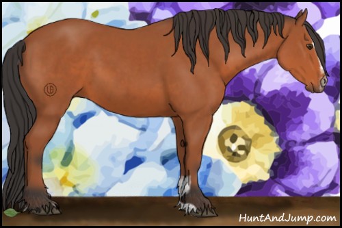 Horse Color:Brown Sabino