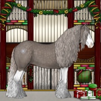 Horse Color:Silver Black Splash 