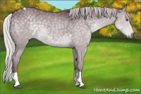 Horse Color:Chocolate Silver Grullo Chinchilla Tobiano 