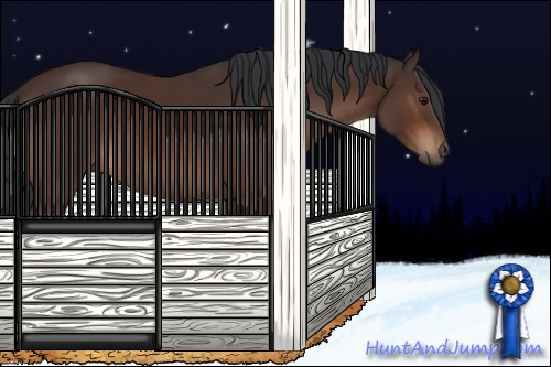 Horse Color:Brown Sabino
