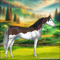 Horse Color:Brown Splash 