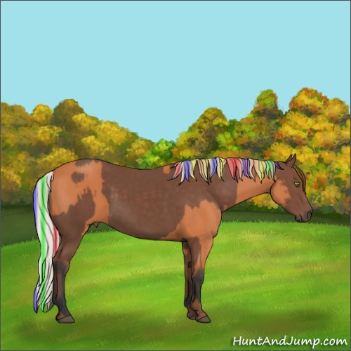 Horse Color:Painted Bay and Silver Black Rabicano