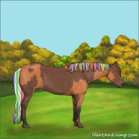 Horse Color:Painted Bay  and Silver Black Rabicano 