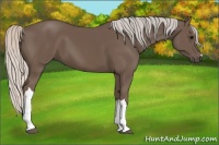 Horse Color:Silver Black 