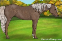 Horse Color:Silver Black 
