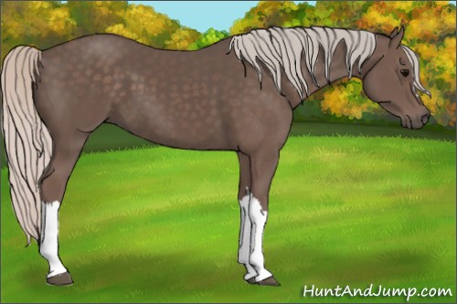 Horse Color:Silver Black 