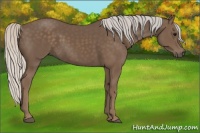 Horse Color:Silver Black 