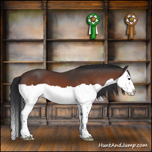 Horse Color:Bay Splash 