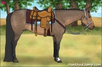 Horse Color:Brown Dun 