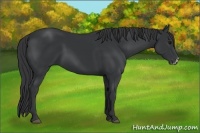 Horse Color:Black Frame 