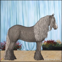 Horse Color:Silver Black 
