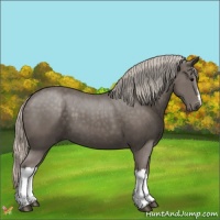 Horse Color:Silver Black 
