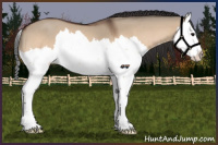 Horse Color:Bay Roan Dun Splash 