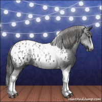 Horse Color:White Spotted Black Splash Tobiano Frame Appaloosa 