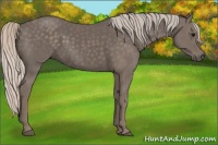 Horse Color:Silver Black 