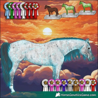 Horse Color:Thunderstruck Chocolate Blue Ice Roan Sabino  and Blue Ice Roan 