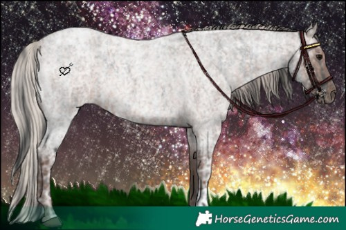 Horse Color:Blue Ice Roan  and Silver Blue Ice Roan 