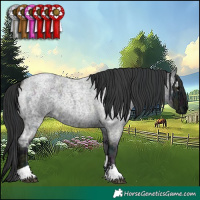 Horse Color:Blue Ice Roan and Midnight Blue Ice Roan Tobiano