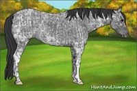 Horse Color:Blue Ice Roan  and Blue Ice Roan 