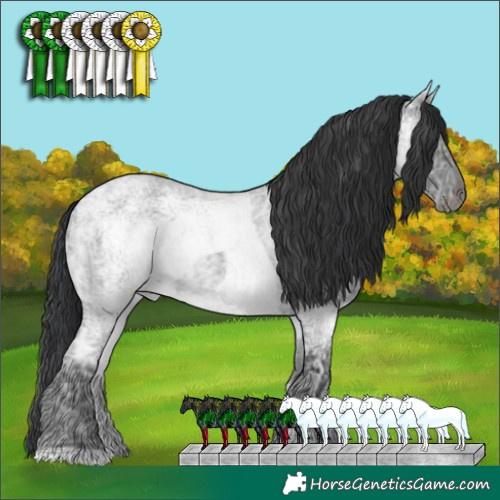 Horse Color:Blue Ice Roan  and Blue Ice Roan 