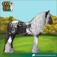 Horse Color:Midnight Brown Ice Tobiano 