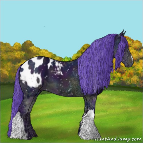 Horse Color:Watercolor Midnight Brown Ice Appaloosa 