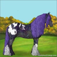Horse Color:Watercolor Midnight Brown Ice Appaloosa