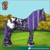 Horse Color:Watercolor Midnight Brown Ice Blanket