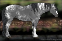 Horse Color:Black Ice Tobiano and Black Ice