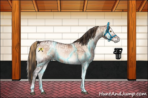 Horse Color:Smoky Blue Onyx Ice Pearl Tobiano  and Thunderstruck Bay Ice Onyx Mushroom Sabino 