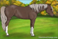 Horse Color:Silver Black 
