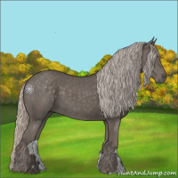 Horse Color:Silver Black 