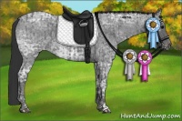 Horse Color:Blue Ice Roan  and Blue Ice Roan Varnish 