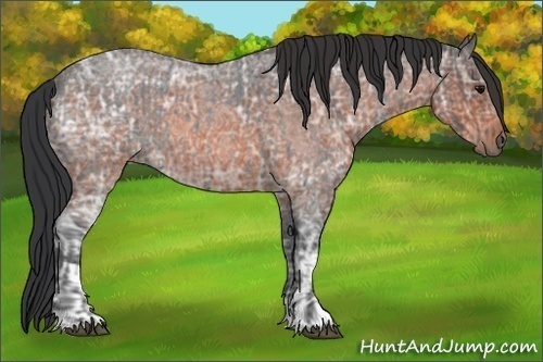 Horse Color:Blue Ice Roan  and Brown Ice Roan 