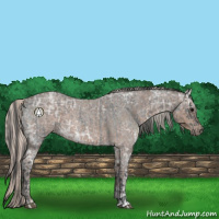Horse Color:Blue Ice Roan and Silver Blue Ice Roan