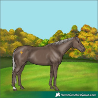 Horse Color:Silver Black 