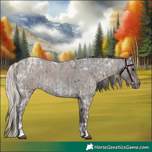 Horse Color:Blue Ice Roan and Silver Blue Ice Roan