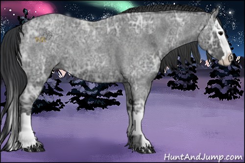 Horse Color:Blue Ice Roan and Blue Ice Roan Splash