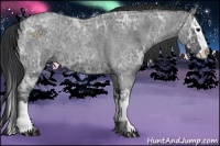 Horse Color:Blue Ice Roan and Blue Ice Roan Splash