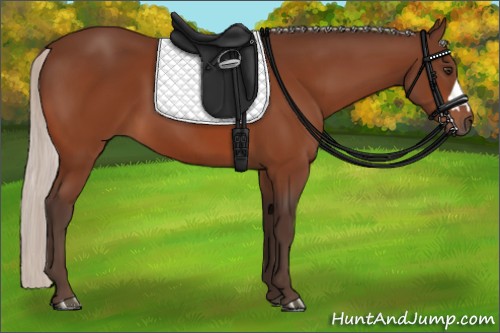 Horse Color:Silver Brown