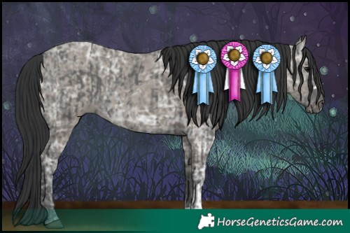 Horse Color:Black Ice  and Grullo Ice 