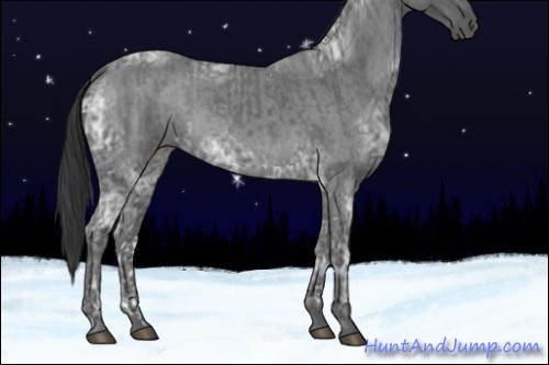 Horse Color:Blue Ice Roan  and Blue Ice Roan 