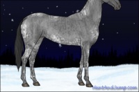 Horse Color:Blue Ice Roan  and Blue Ice Roan 
