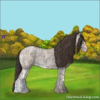 Horse Color:Blue Ice Roan  and Classic Champagne Ice Roan 