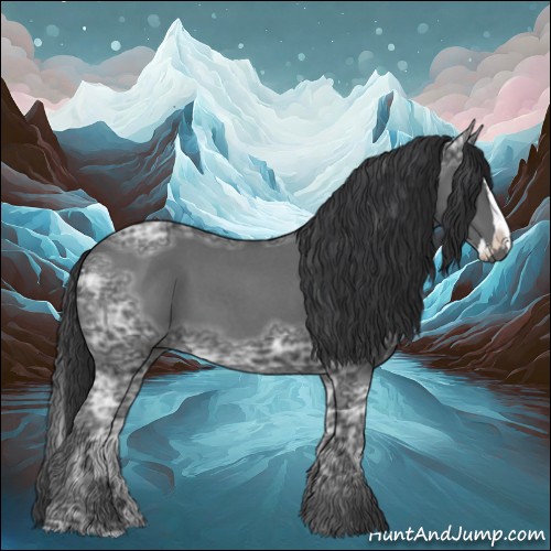 Horse Color:Blue Ice Roan  and Blue Ice Roan Splash 