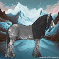 Horse Color:Blue Ice Roan and Blue Ice Roan Splash