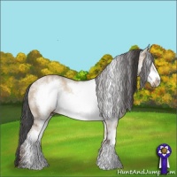 Horse Color:White Spotted Bay Dun Sabino Frame Rabicano 